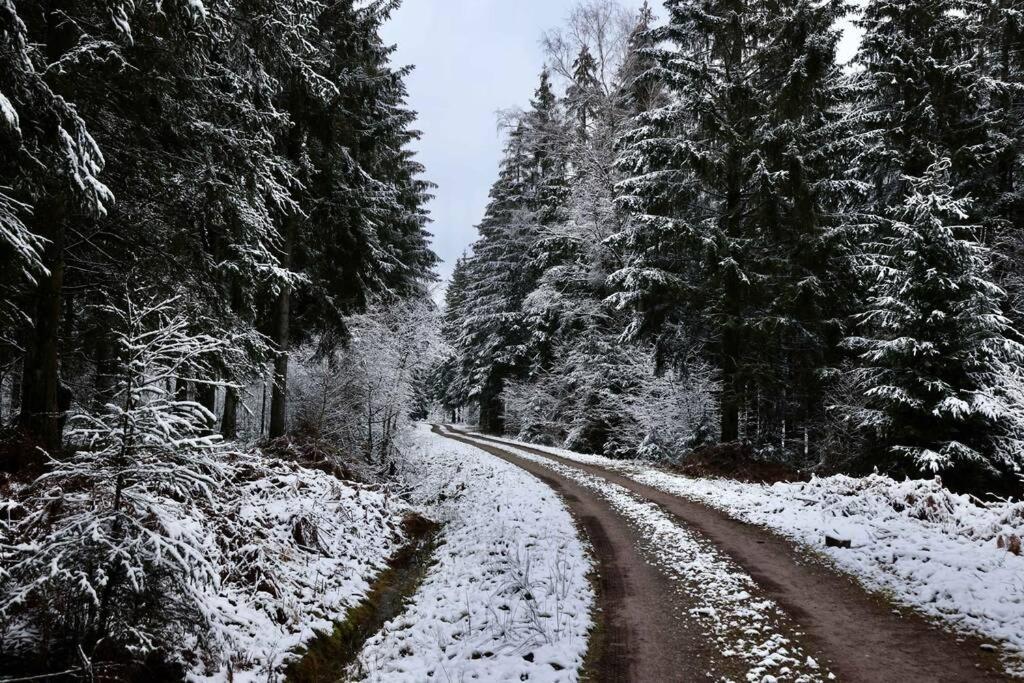 Altes Zollhaus Lägenhet Hallschlag Exteriör bild